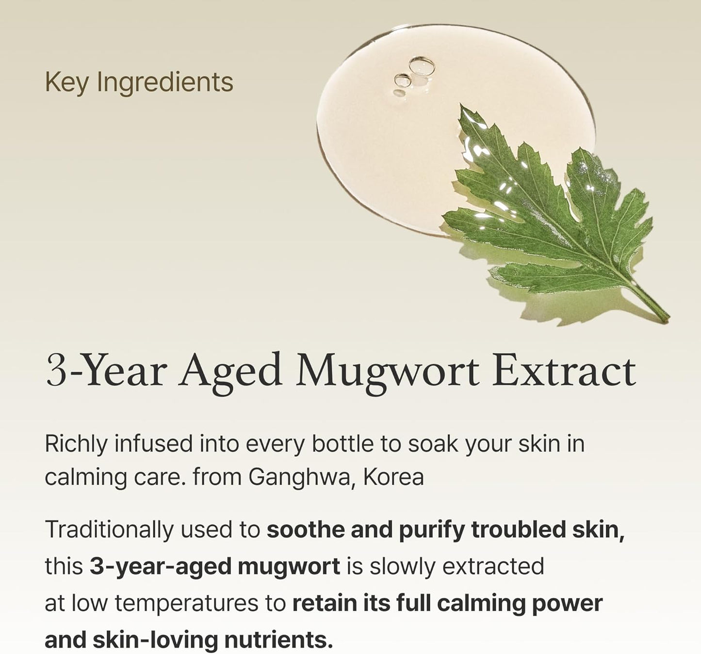 Ganghwa Mugwort Essence – Soothing & Detox for Sensitive Skin
