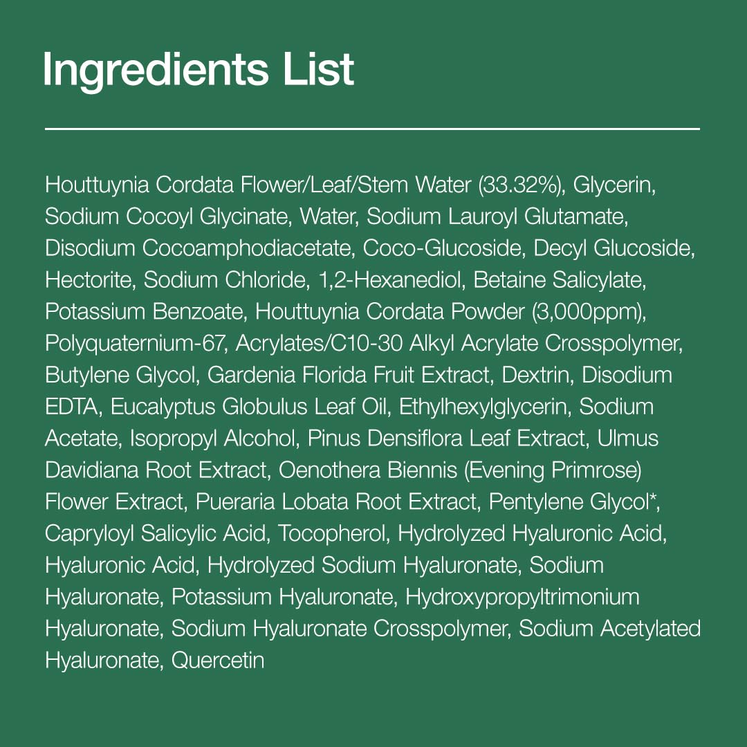 Anua Heartleaf Quercetinol Pore Cleansing Foam