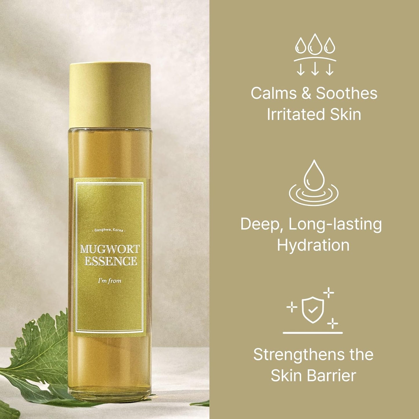 Ganghwa Mugwort Essence – Soothing & Detox for Sensitive Skin