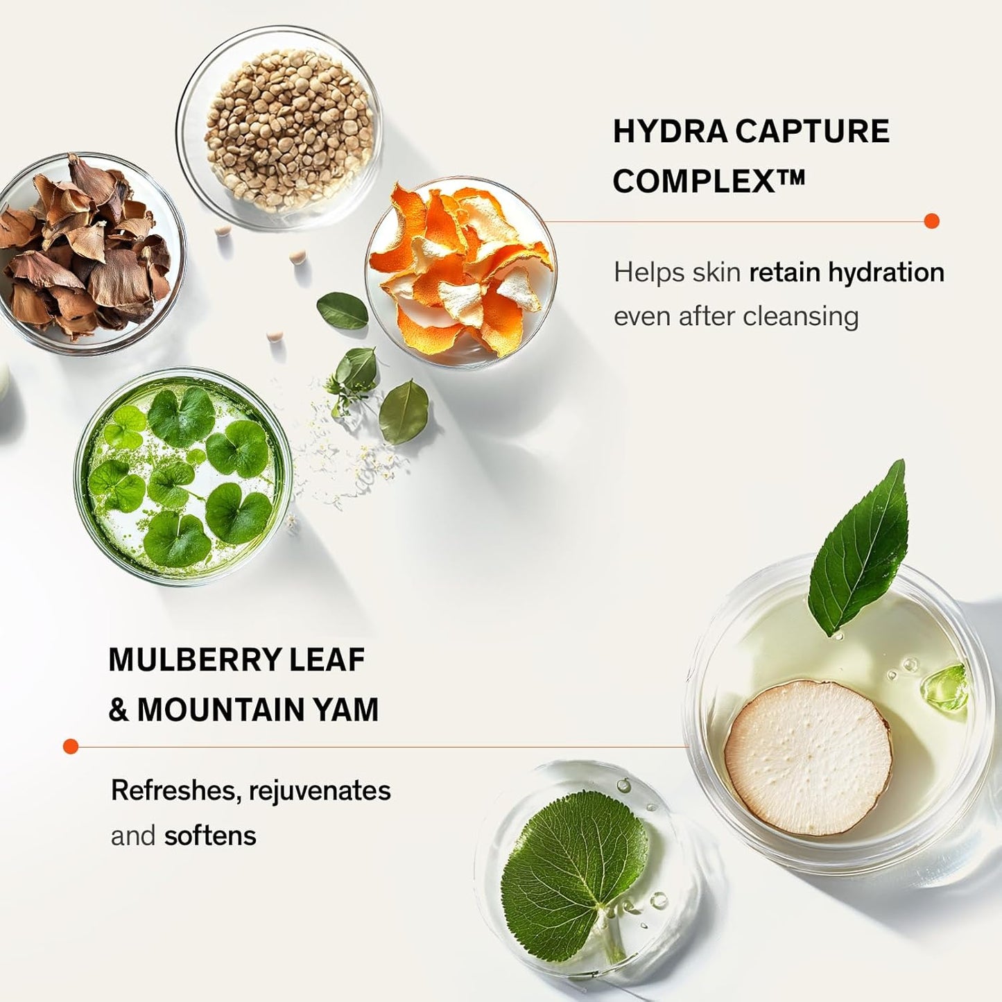 Gentle Cleansing Foam – Hydrating & Refreshing Daily Cleanser