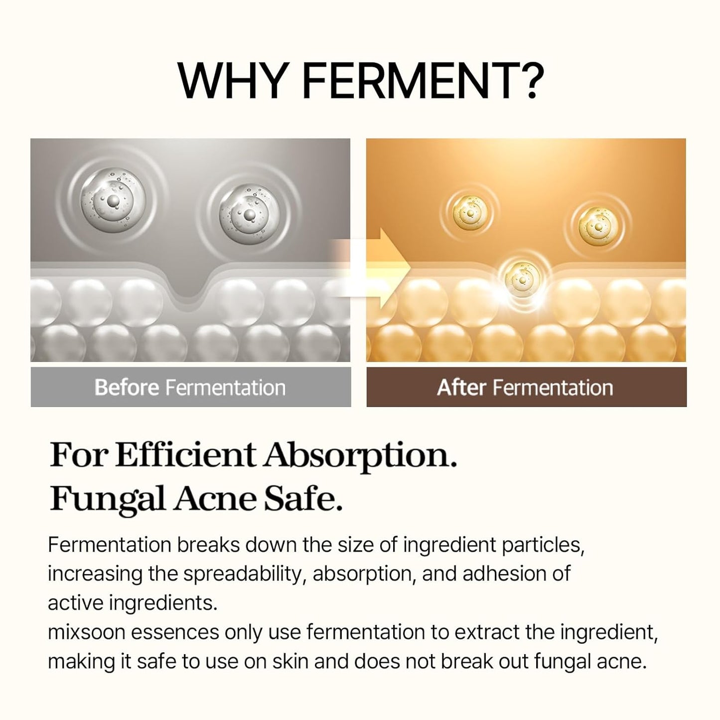 Mixsoon Bean Essence Exfoliating Hydrating for Face Fermented Bean Extract Hyaluronic Acid Serum Korean Glass Skin Care 1.69 Fl Oz / 50Ml